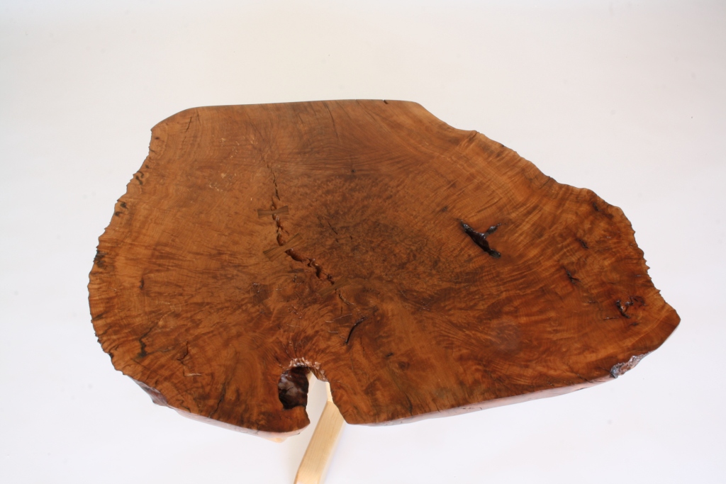 arbutus_top