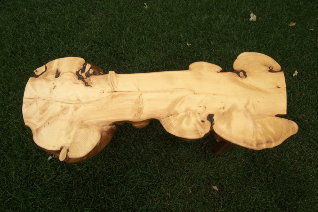 bone_2_top