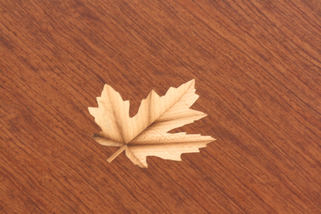 lazy_leaf